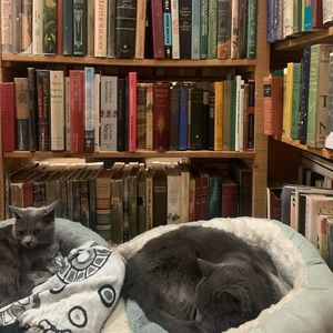 Meet your Posher, Lin